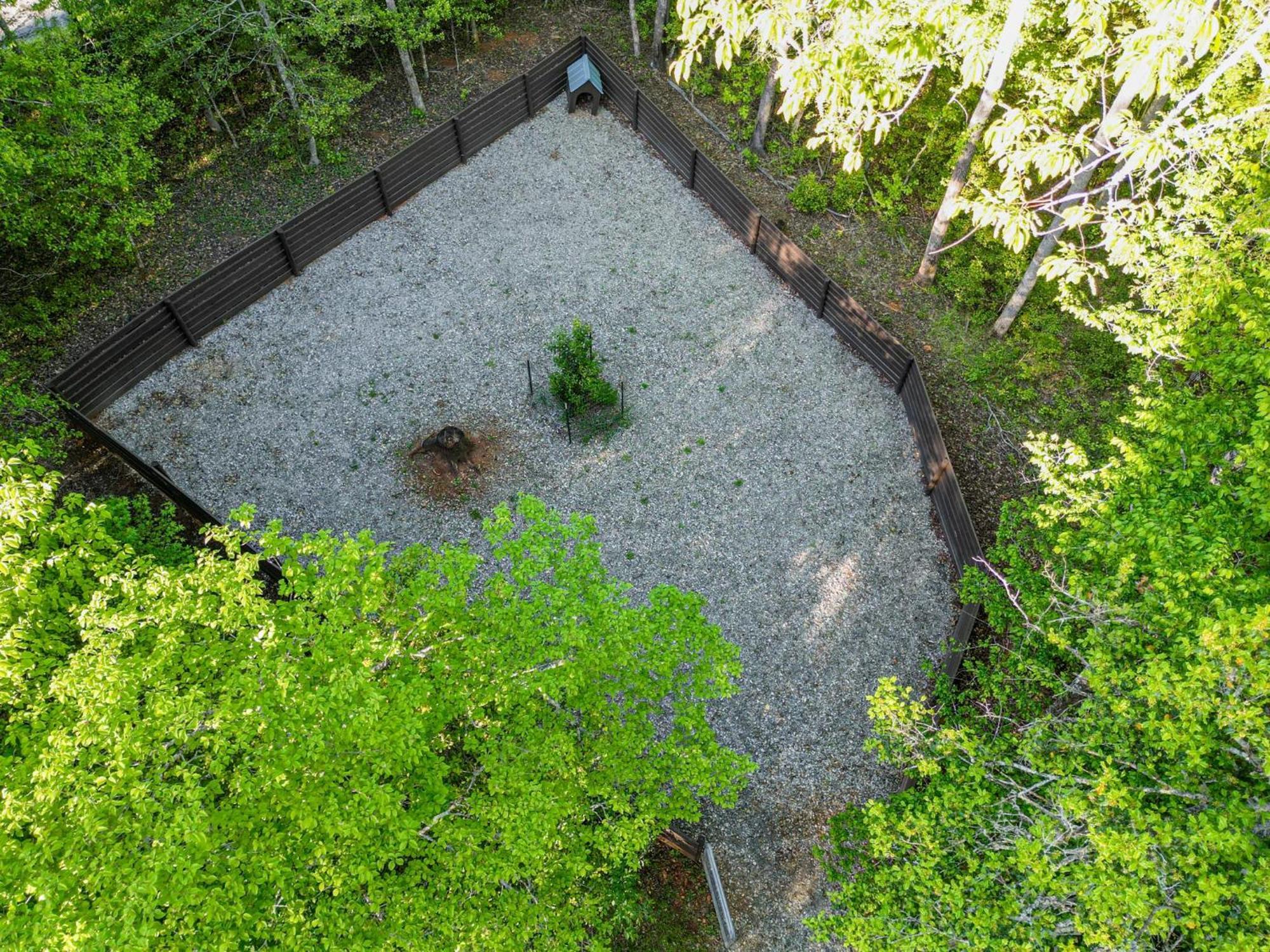 The Big Little Cabin - Hot Tub & Playground Dahlonega Buitenkant foto